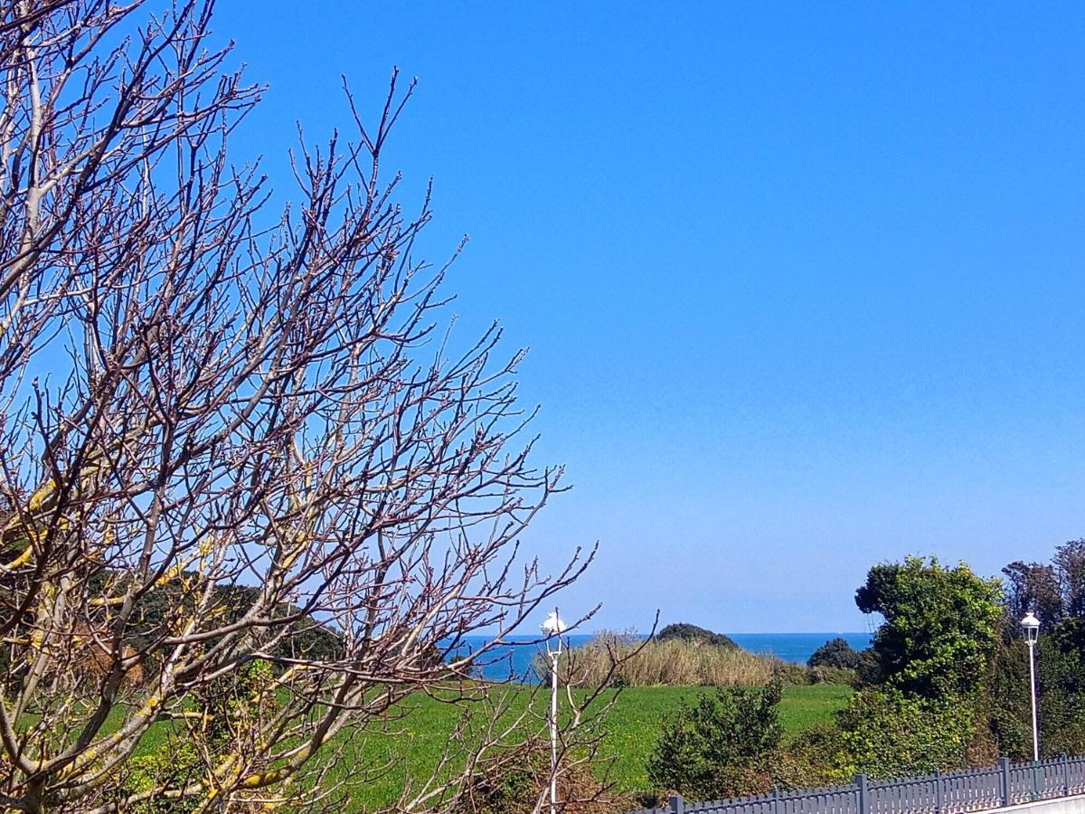 Villa La Rufina 诺哈 外观 照片